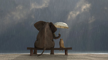 KINDNESS